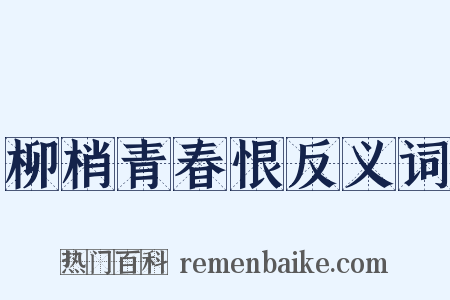 柳梢青春恨反义词是什么意思的图片